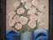 Obraz olejny kwiaty-róże 50x65,5 cm w ramie /DS1