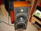 celestion ditton 25