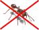 MRÓWKI  INSEKTY  STOP ++++  PROSZEK 500G !!!!