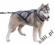 Szelki zaprzęgowe SLED rozmiar L   Husky, Malamut