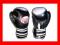 REKAWICE BOKSERSKIE DRAGON SPORTS TARGET PRO skora