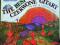Czerwone Gitary - The best of Czerowne Gitary