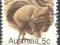 AUSTRALIA fauna wombat (D)