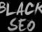 POZYCJONOWANIE BAN Z GOOGLE BLACK SEO + TEST HIT