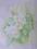 Obraz oryginalny- akwarela - kwiaty jaśminu