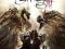 DARKNESS II / NOWA W FOLII /X360/ PROMOCJA! ROBSON