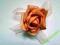 RÓŻA ŁOSOSIOWA Z PIANKI