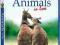 ANIMALS IN LOVE [BLU-RAY] WYPRZEDAŻ! SKLEP