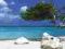 Tropiki - Drzewo na Plaży - plakat 91,5x30,5 cm