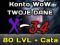 Konto WoW - Cataclysm - 80lvl - TWOJE DANE w 5 min