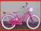 ARKUS RÓŻYCZKA 20'' - Z KOSZYKIEM!