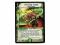 *DM-12 DUEL MASTERS - UNCANNY TURNIP - !!!