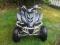 yamaha raptor 350