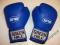 Rękawice bokserskie GREEN HILL SAFYAN 10 oz
