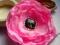 Broszka kwiat na prezent różne kolory