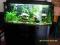 kompletne akwarjum roslinne 240l