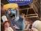 Ratatuj ( Ratatouille ) Nowa (Wii)