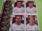 naklejki panini EURO 2012 Irlandia x 6