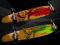 deskorolki: LONGBOARD Black HOLE Bamboo - ABEC 7