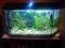 Akwarium 120l + szafka i osprzęt