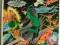 SUPER TEAM FAMILY GREEN LANTERN HAWKMAN# 12 DC USA