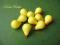 OWOCE DO DEKORACJI-MALUTKIE GRUSZKI/10 szt/żółte
