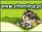 Chomikuj.pl 210000 PKT. ! Tanio 100%