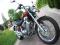 yamaha virago 535 DX 2001r.