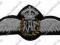 Odznaka pilota RAF - PSZ na Zachodzie
