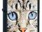 zapalniczka ZIPPO 28040 CAT BLACK MATTE W-wa