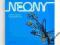Warszawskie NEONY kwiaty warszawskiej NOCY katalog