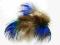 Paw pióra puchowe pawia NIEBIESKIE