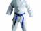 Karatega Adidas Master WKF