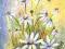 akwarela --Margaretki kwiaty -- 29,7 x 21 cm