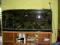 akwarium malawi 150x60x45