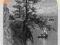 WIDOK NA JEZIORO ERIE drzeworyt z 1872 roku