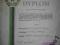 Dyplom NADANIA STOPNIA GÓRNICZEGO - 1991r.