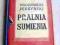 WŁODZIMIERZ PERZYŃSKI .. PRALNIA SUMIENIA