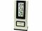 Termometr elektroniczny z zegarem WS-9117-IT