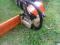 PILARKA PIŁA SPALINOWA STIHL 023