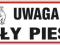 UWAGA ZŁY PIES 300x150 naklejka - PRODUCENT 4 szt