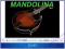 MANDOLINA HARLEY BENTON HBMA-100 VS