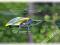 Helikopter WLTOYS V912 4 CH ,2,4GHz LCD