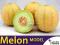 SOCZYSTY AROMATYCZNY Melon Model (Cucumis melo) 1g