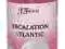 JFENZI WOMEN ESCALATION ATLANTIC BODY SPLASH