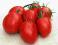 Pomidor typu Bawole Serce OXHEART