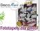 Fototapety tapety dla dzieci Disney 4421 Mickey