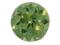 GSK DEMANTOID 0,15 Ct 3,15mm z Polski #555