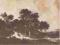 RUISDAEL DIT RUYSDAEL MALARSTWO PRZEDWOJENNA 02346