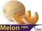 SMAKOWITY I PLENNY Melon Emir (Cucumis melo) 1g